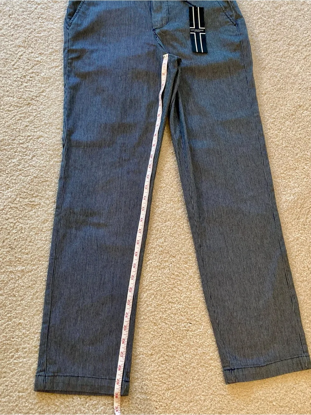 NWT Liverpool Los Angeles striped chino pants